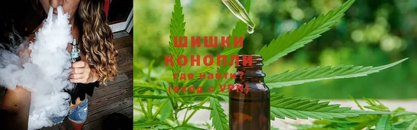 мяу мяу мука Елизово