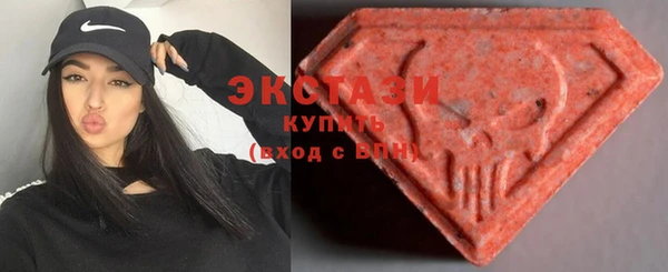 гидра Гатчина