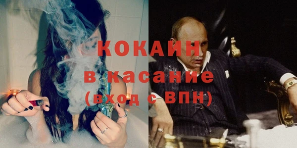 мяу мяу мука Елизово