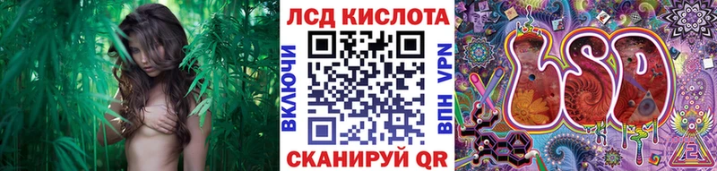 darknet телеграм  наркошоп  Знаменск  Марки N-bome 1,5мг 