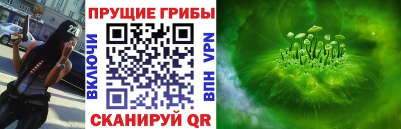 Галлюциногенные грибы Cubensis  Знаменск 